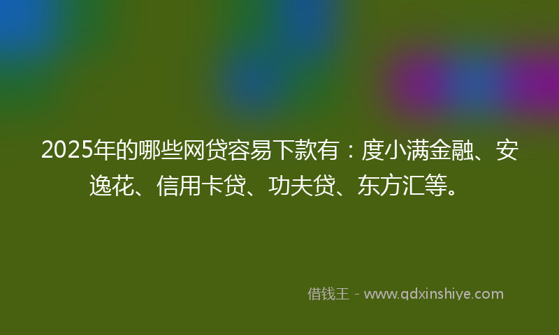 2025年的哪些网贷容易下款有：度小满金融、安逸花、信用卡贷、功夫贷、东方汇等。