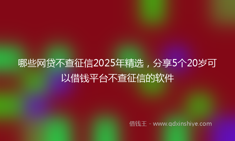 哪些网贷不查征信2025年精选，分享5个20岁可以借钱平台不查征信的软件