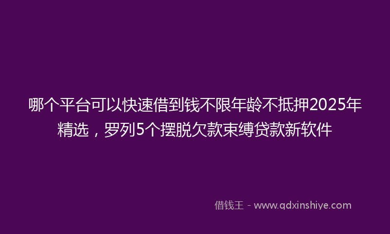 哪个平台可以快速借到钱不限年龄不抵押2025年精选，罗列5个摆脱欠款束缚贷款新软件