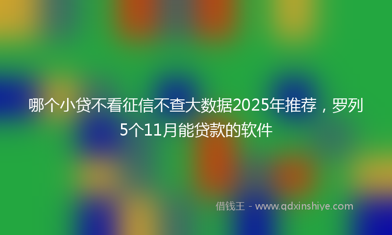 哪个小贷不看征信不查大数据2025年推荐，罗列5个11月能贷款的软件