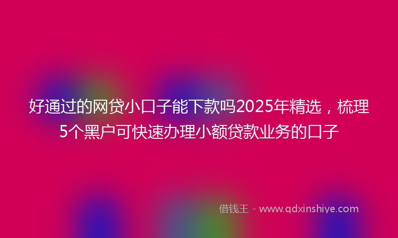 好通过的网贷小口子能下款吗2025年精选，梳理5个黑户可快速办理小额贷款业务的口子