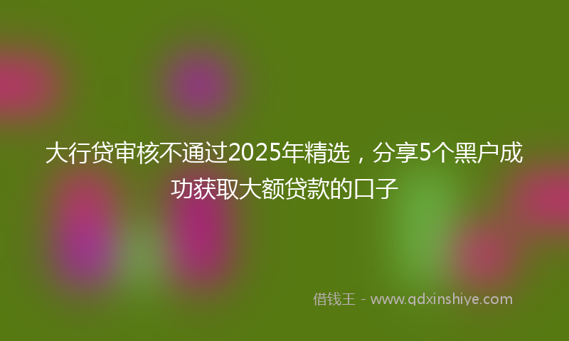 大行贷审核不通过2025年精选，分享5个黑户成功获取大额贷款的口子