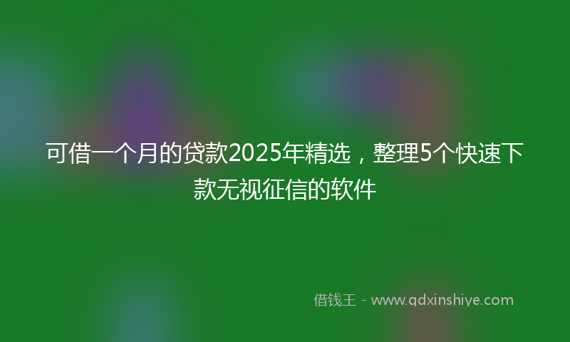 可借一个月的贷款2025年精选，整理5个快速下款无视征信的软件