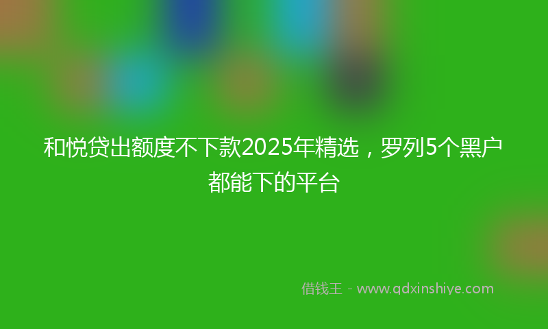 和悦贷出额度不下款2025年精选，罗列5个黑户都能下的平台