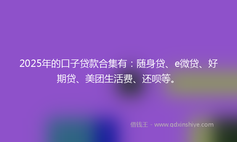 2025年的口子贷款合集有：随身贷、e微贷、好期贷、美团生活费、还呗等。