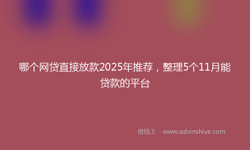 哪个网贷直接放款2025年推荐，整理5个11月能贷款的平台
