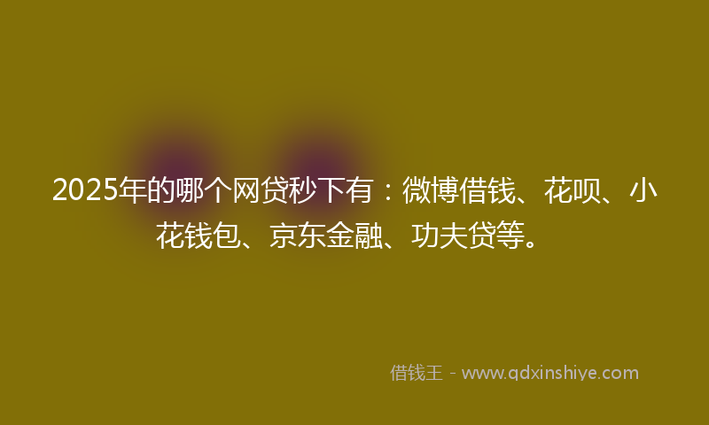 2025年的哪个网贷秒下有：微博借钱、花呗、小花钱包、京东金融、功夫贷等。