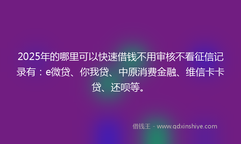 2025年的哪里可以快速借钱不用审核不看征信记录有：e微贷、你我贷、中原消费金融、维信卡卡贷、还呗等。