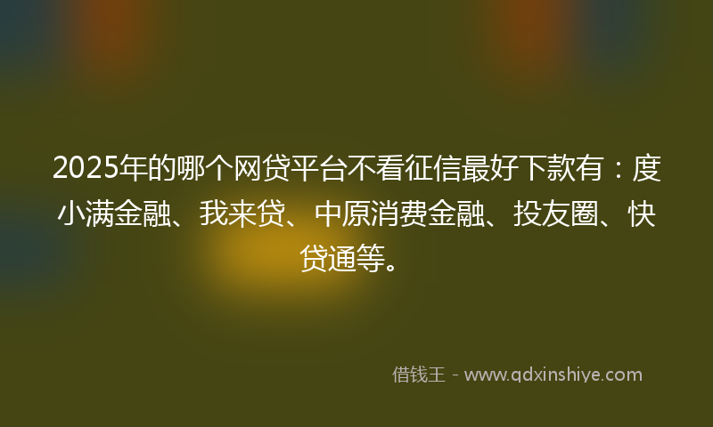 2025年的哪个网贷平台不看征信最好下款有：度小满金融、我来贷、中原消费金融、投友圈、快贷通等。