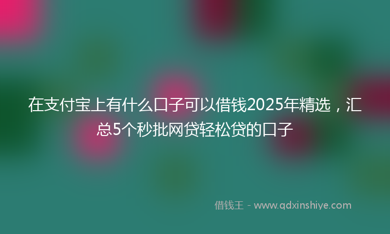 在支付宝上有什么口子可以借钱2025年精选，汇总5个秒批网贷轻松贷的口子