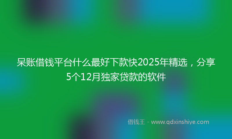 呆账借钱平台什么最好下款快2025年精选，分享5个12月独家贷款的软件