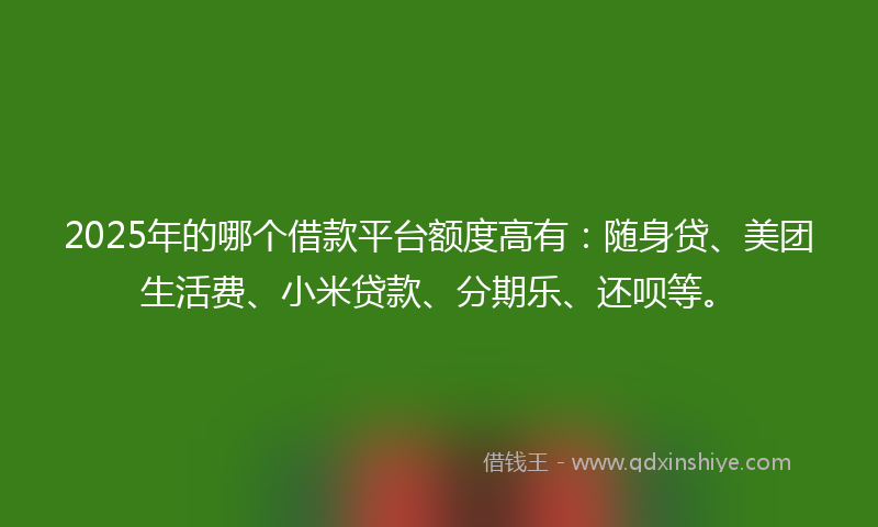 2025年的哪个借款平台额度高有：随身贷、美团生活费、小米贷款、分期乐、还呗等。