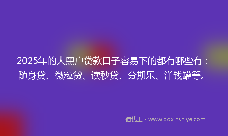 2025年的大黑户贷款口子容易下的都有哪些有：随身贷、微粒贷、读秒贷、分期乐、洋钱罐等。