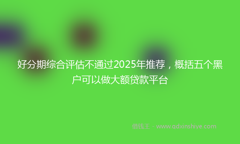 好分期综合评估不通过2025年推荐，概括五个黑户可以做大额贷款平台