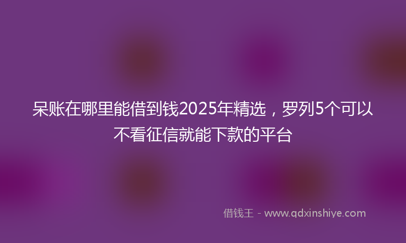 呆账在哪里能借到钱2025年精选，罗列5个可以不看征信就能下款的平台