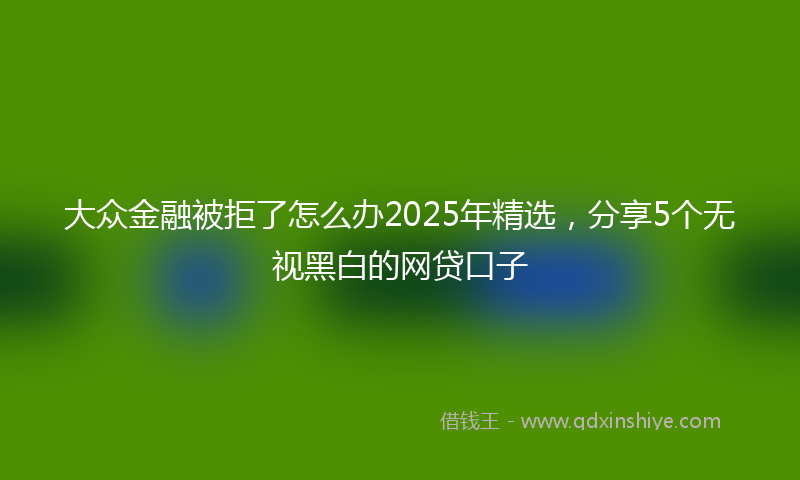 大众金融被拒了怎么办2025年精选，分享5个无视黑白的网贷口子