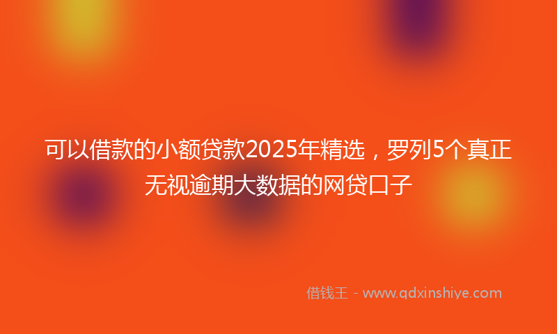 可以借款的小额贷款2025年精选，罗列5个真正无视逾期大数据的网贷口子