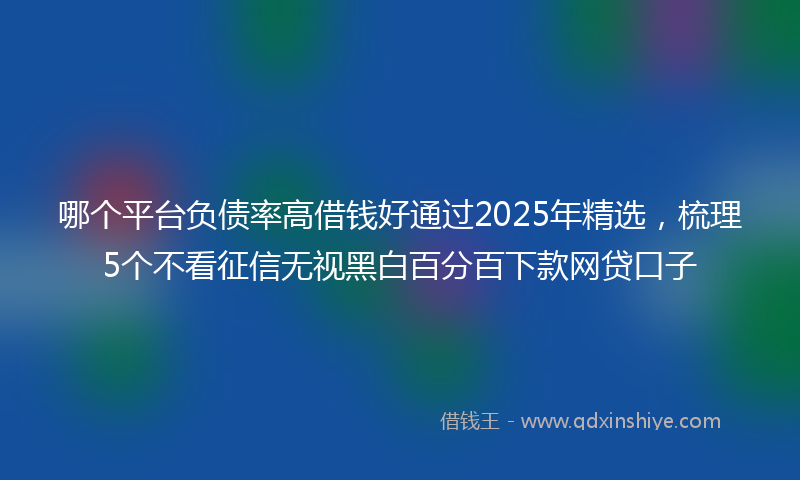 哪个平台负债率高借钱好通过2025年精选，梳理5个不看征信无视黑白百分百下款网贷口子