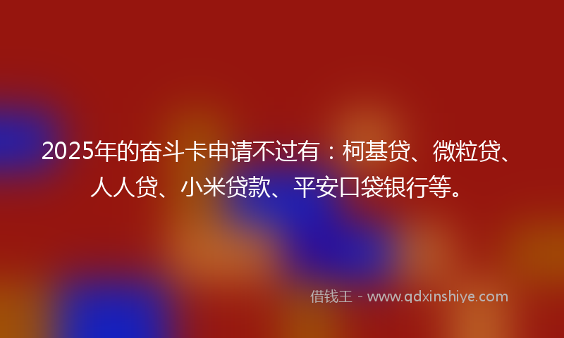 2025年的奋斗卡申请不过有：柯基贷、微粒贷、人人贷、小米贷款、平安口袋银行等。