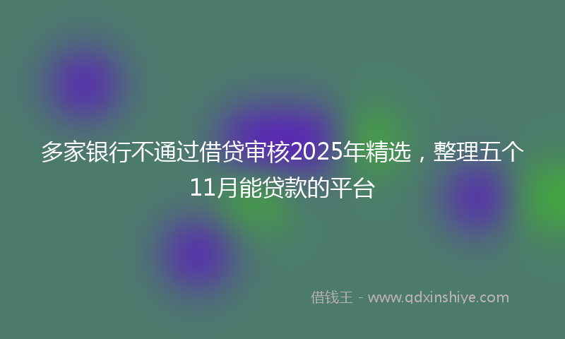 多家银行不通过借贷审核2025年精选，整理五个11月能贷款的平台