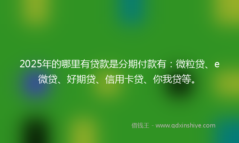 2025年的哪里有贷款是分期付款有：微粒贷、e微贷、好期贷、信用卡贷、你我贷等。