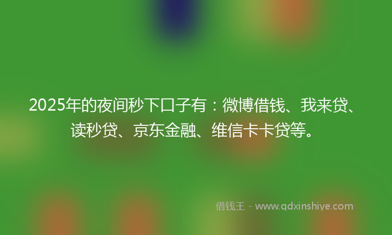 2025年的夜间秒下口子有：微博借钱、我来贷、读秒贷、京东金融、维信卡卡贷等。