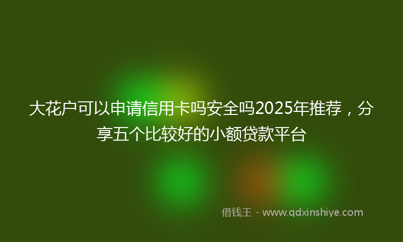 大花户可以申请信用卡吗安全吗2025年推荐，分享五个比较好的小额贷款平台