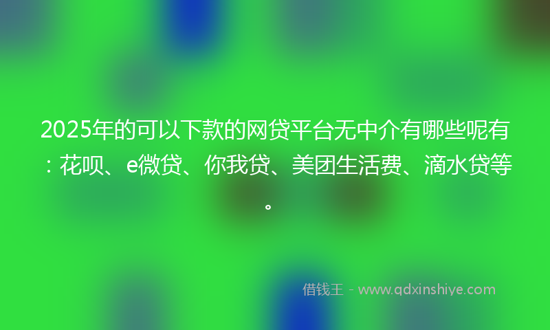 2025年的可以下款的网贷平台无中介有哪些呢有：花呗、e微贷、你我贷、美团生活费、滴水贷等。