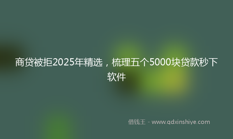商贷被拒2025年精选，梳理五个5000块贷款秒下软件