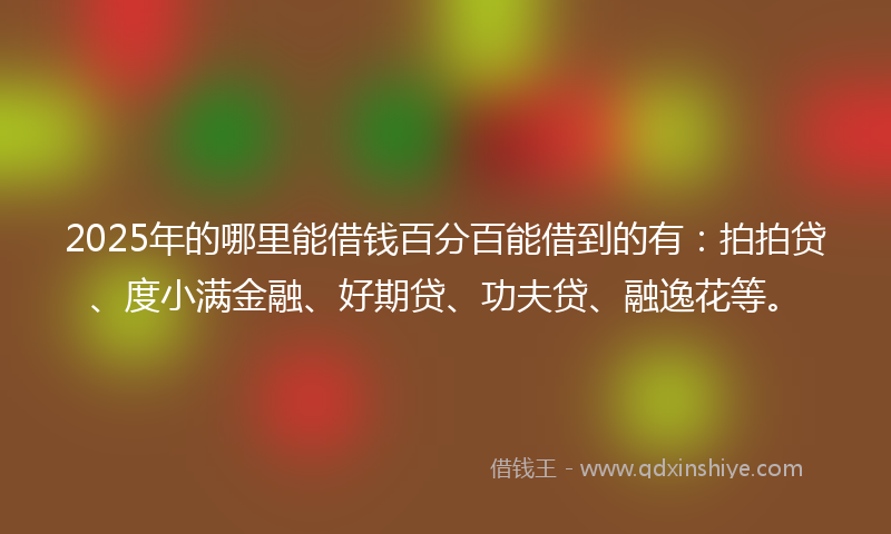 2025年的哪里能借钱百分百能借到的有：拍拍贷、度小满金融、好期贷、功夫贷、融逸花等。