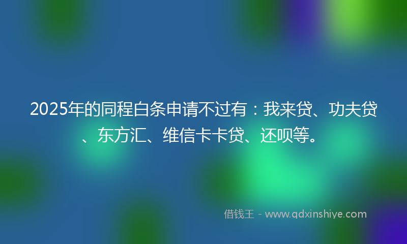 2025年的同程白条申请不过有：我来贷、功夫贷、东方汇、维信卡卡贷、还呗等。