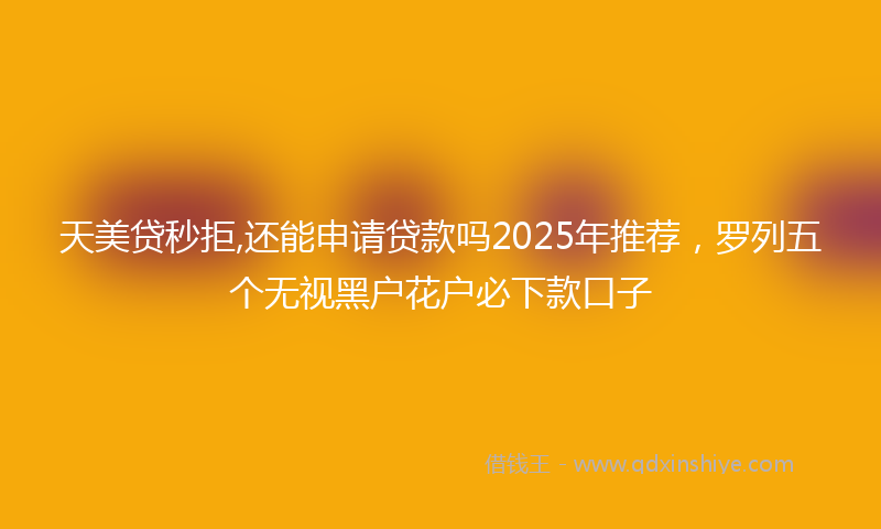 天美贷秒拒,还能申请贷款吗2025年推荐，罗列五个无视黑户花户必下款口子