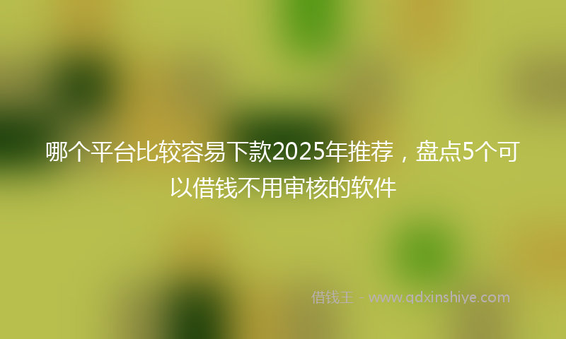 哪个平台比较容易下款2025年推荐，盘点5个可以借钱不用审核的软件