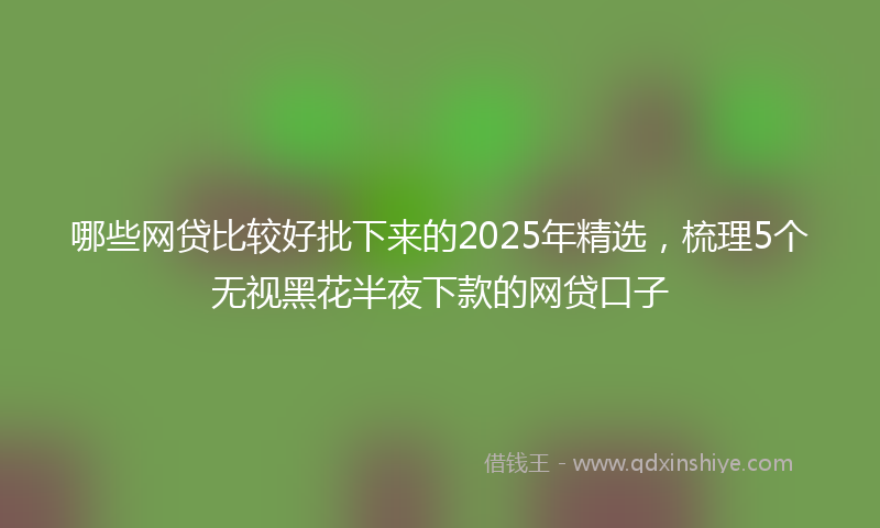 哪些网贷比较好批下来的2025年精选，梳理5个无视黑花半夜下款的网贷口子