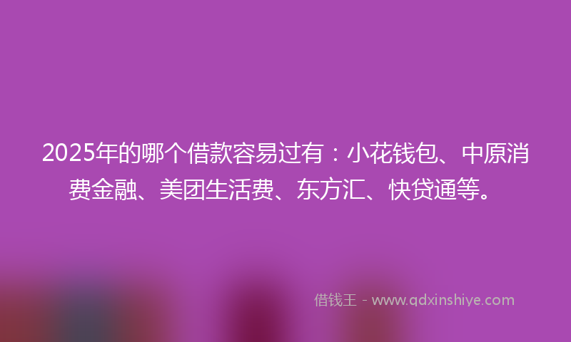 2025年的哪个借款容易过有：小花钱包、中原消费金融、美团生活费、东方汇、快贷通等。
