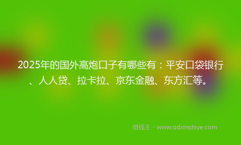2025年的国外高炮口子有哪些有：平安口袋银行、人人贷、拉卡拉、京东金融、东方汇等。