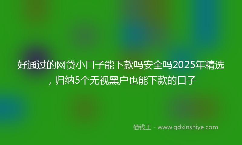 好通过的网贷小口子能下款吗安全吗2025年精选，归纳5个无视黑户也能下款的口子