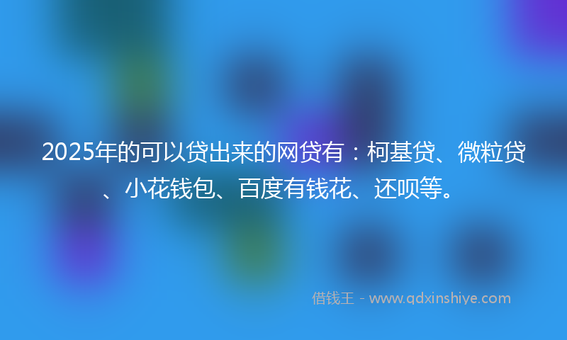 2025年的可以贷出来的网贷有：柯基贷、微粒贷、小花钱包、百度有钱花、还呗等。