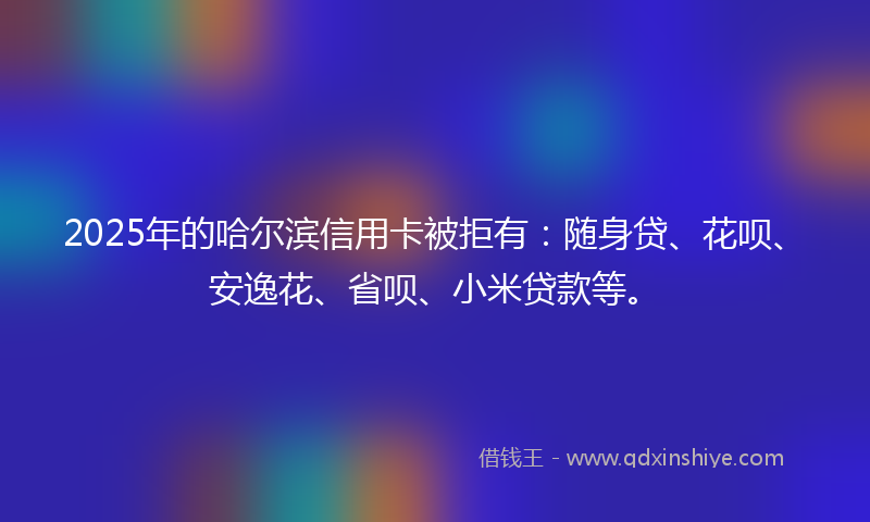 2025年的哈尔滨信用卡被拒有：随身贷、花呗、安逸花、省呗、小米贷款等。
