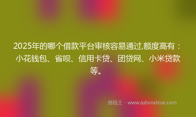 2025年的哪个借款平台审核容易通过,额度高有：小花钱包、省呗、信用卡贷、团贷网、小米贷款等。