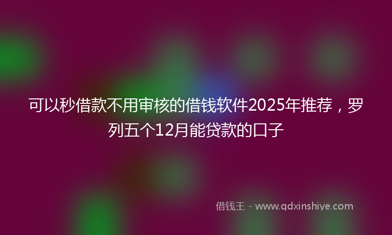 可以秒借款不用审核的借钱软件2025年推荐，罗列五个12月能贷款的口子