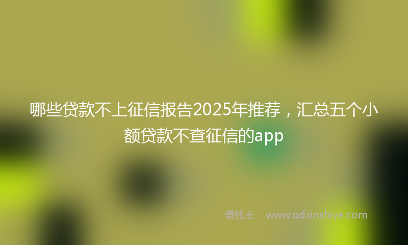 哪些贷款不上征信报告2025年推荐，汇总五个小额贷款不查征信的app