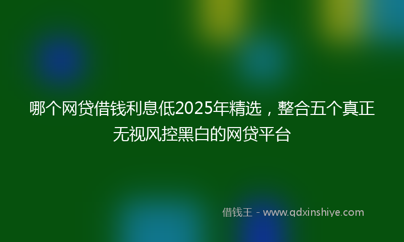 哪个网贷借钱利息低2025年精选，整合五个真正无视风控黑白的网贷平台
