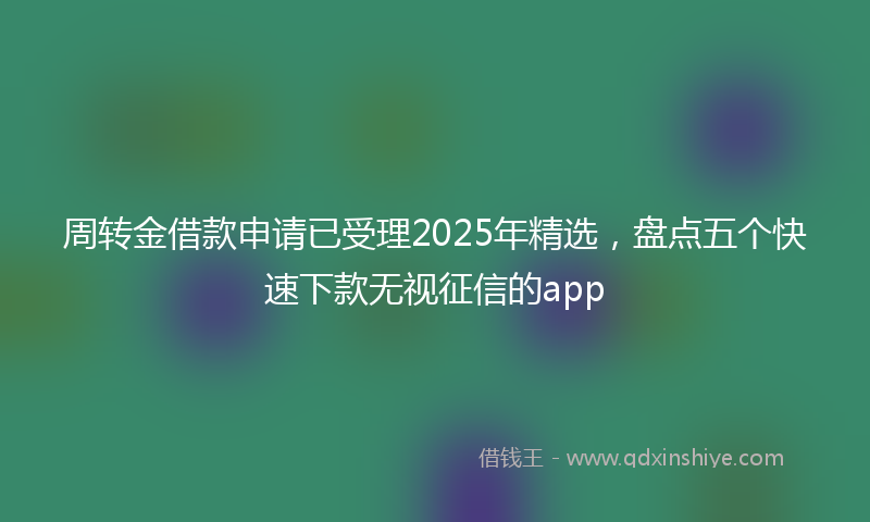 周转金借款申请已受理2025年精选，盘点五个快速下款无视征信的app