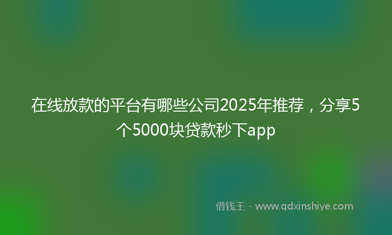 在线放款的平台有哪些公司2025年推荐，分享5个5000块贷款秒下app