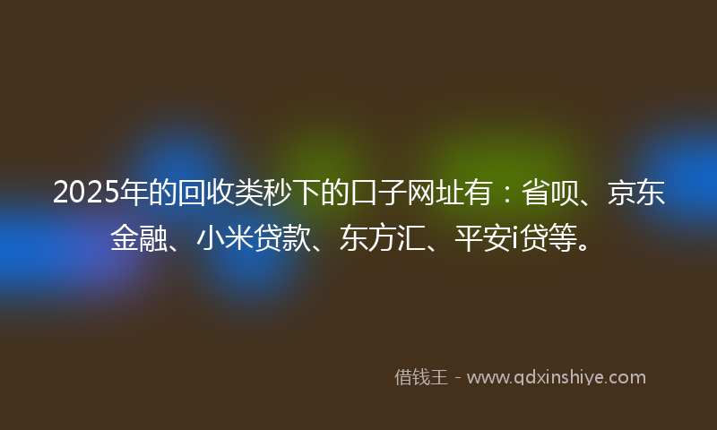 2025年的回收类秒下的口子网址有：省呗、京东金融、小米贷款、东方汇、平安i贷等。