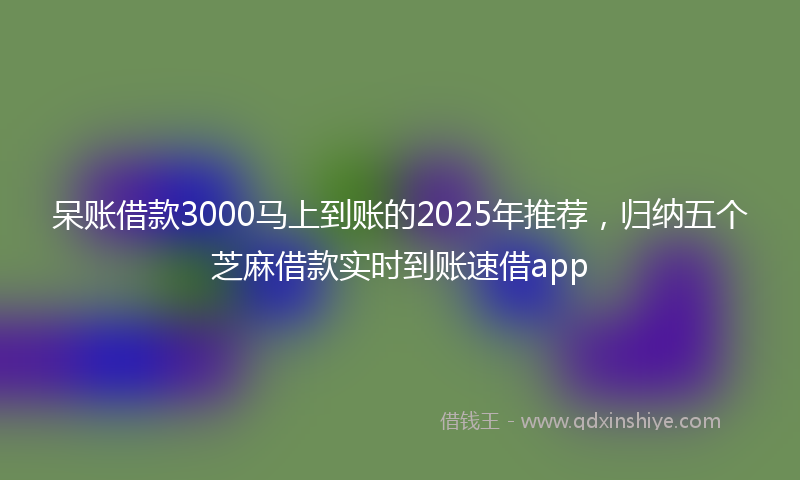 呆账借款3000马上到账的2025年推荐，归纳五个芝麻借款实时到账速借app