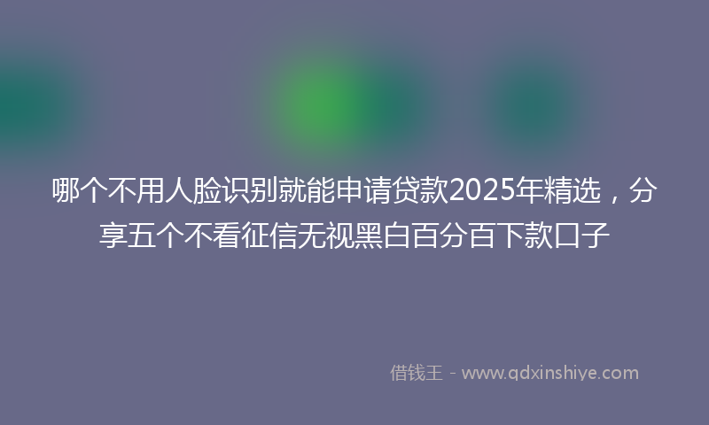 哪个不用人脸识别就能申请贷款2025年精选，分享五个不看征信无视黑白百分百下款口子