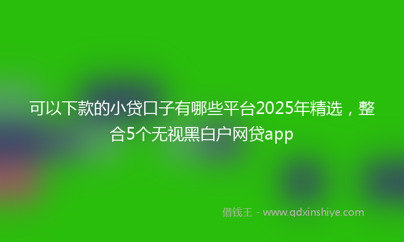 可以下款的小贷口子有哪些平台2025年精选，整合5个无视黑白户网贷app