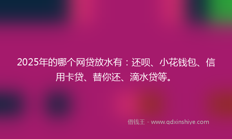 2025年的哪个网贷放水有：还呗、小花钱包、信用卡贷、替你还、滴水贷等。